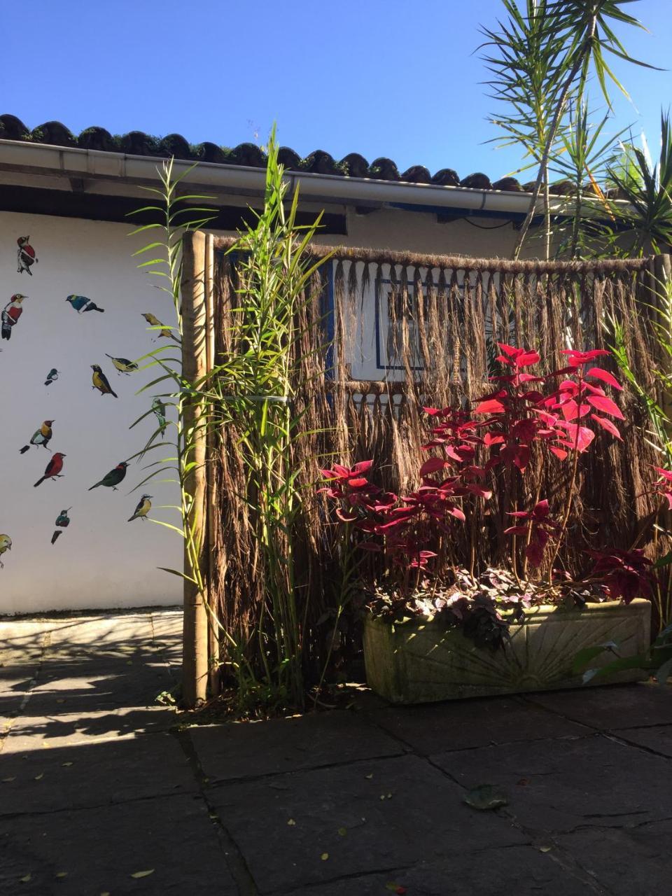 Pousada Jardim Dos Oliveiras パラチ エクステリア 写真
