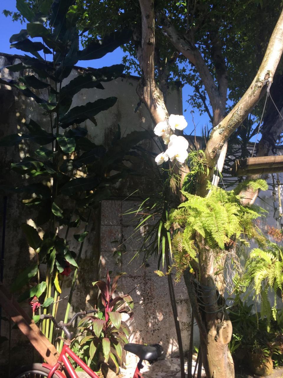 Pousada Jardim Dos Oliveiras パラチ エクステリア 写真